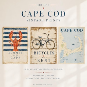 Pode incluir: Conjunto de três estampas vintage de Cape Cod. Uma apresenta uma lagosta sobre listras azuis e brancas, outra uma bicicleta e a terceira um mapa. Cada estampa tem cerca de 20x25 cm.