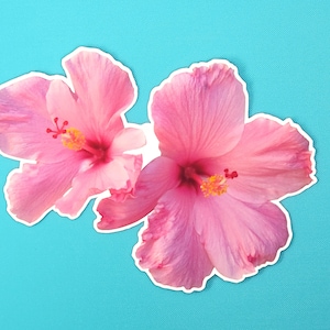 Pink Hibiscus Flower/ GOD&#39;s CREATION Sticker / Laptop Stickers / Weatherproof Matte or Waterproof Laminated Glossy/ Multiple Sizes Available
