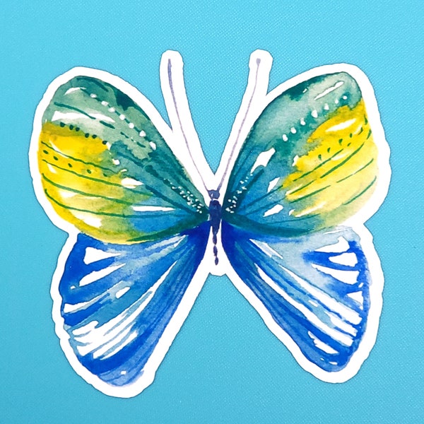 Aqua Butterfly/ GOD's CREATION Sticker /Laptop Stickers / Weatherproof Matte or Waterproof Laminated Glossy/ Multiple Sizes Available