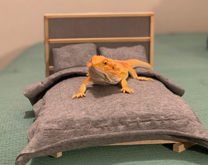 Customizable Bearded Dragon Bed With Headboard Etsy