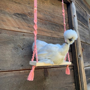 Macramé Chicken Perch Swing, Chicken Coop Swing, Roost, Gift for Farmer, Poultry, Birds, Christmas Gift, Chicken Tender, Handmade