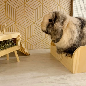 Small Bunny TV Hay Feeder | Guinea Pig TV Hay Feeder