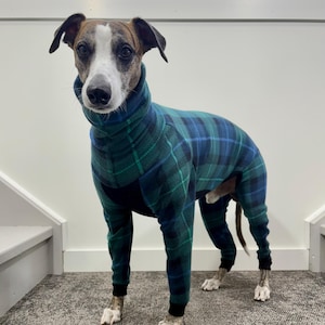 The Whippet Onesie: Handmade fitted jumpers for whippets