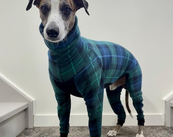 The Whippet Onesie: Handmade fitted jumpers for whippets
