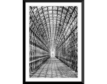 May include: Black and white photograph of a long, narrow, arched walkway made of metal beams and vines. The walkway is empty and leads to a light-colored building in the distance.