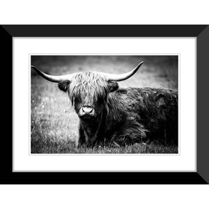 Highland Cow, Scottish Highlands, Scotland, UK, Photography #14, Wall Art, Home Decor, Fine Art, Travel Photo