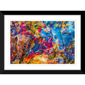 Abstract Colors, Petrified Wood, Agate Photography #2 Wall Art, Home Decor