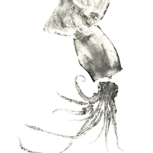 Impresión Gyotaku Calamar del Pacífico de Adrià Bosch
