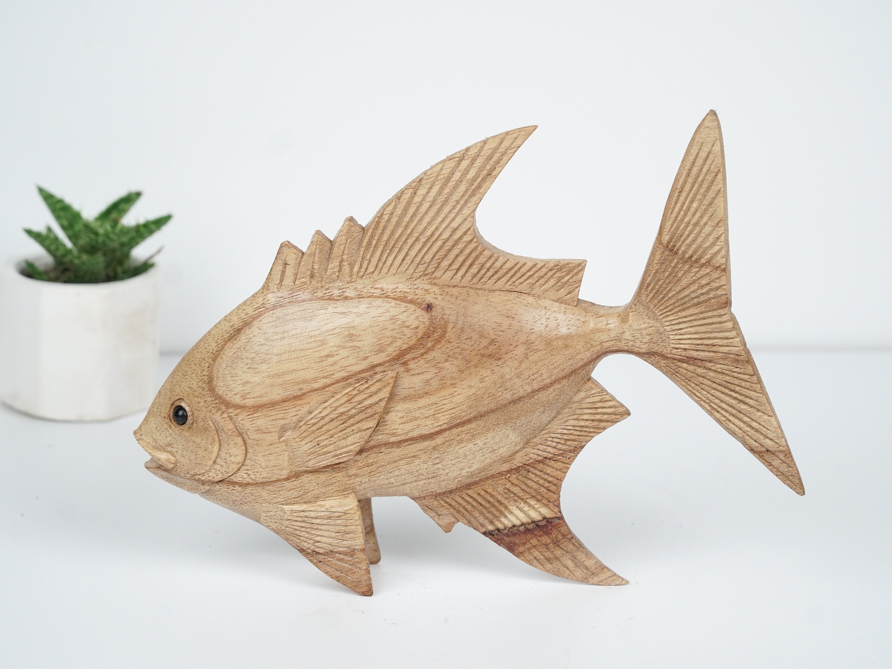 Hog fish Etsy 日本