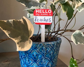 House Plant Name Tags (set of 3)