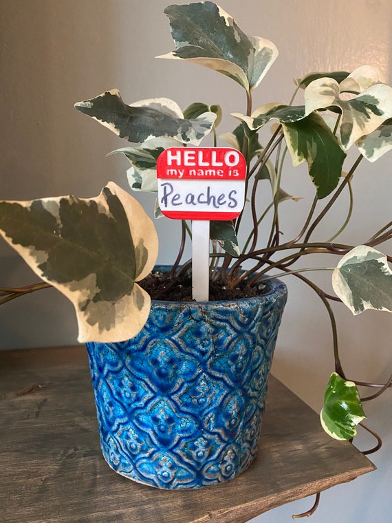 House Plant Name Tags set of 3 Etsy