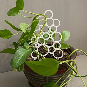 May include: White plastic plant support with a circular design. The support is in a brown pot with a green plant growing around it.