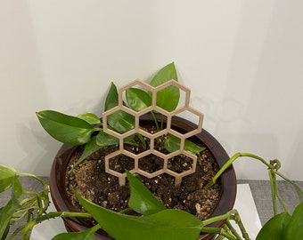 Honeycomb House Plant Trellis