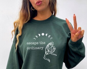 Frog Sweatshirt Cottagecore Sweatshirt Cottagecore Sweater Goblincore Sweater Dark Cottagecore Moon Sweatshirt Goblincore Clothing
