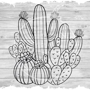Cactus Cactus svg png jpg sublimación tobogán acuático imagen best seller suculenta succa calcomanía
