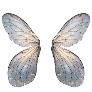 May include: A pair of iridescent butterfly wings with a delicate, intricate pattern. The wings are translucent and have a light blue and white colour scheme.