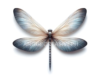 Dragonfly Wings Clipart Set, Fantasy Insect, Digital Craft (300 DPI)
