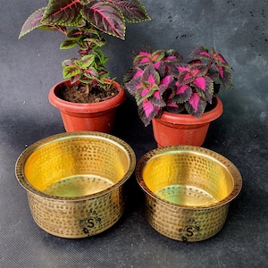 Puede incluir: Dos cuencos de latón martillados, uno más grande que el otro, con un acabado dorado. Los cuencos están sobre una superficie negra delante de dos plantas en maceta con hojas rojas y verdes.