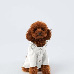 May include: A small, brown dog wearing a white raincoat with a hood and button closures. The dog is sitting against a plain white background, showcasing the pet apparel. The raincoat has a simple, classic design.