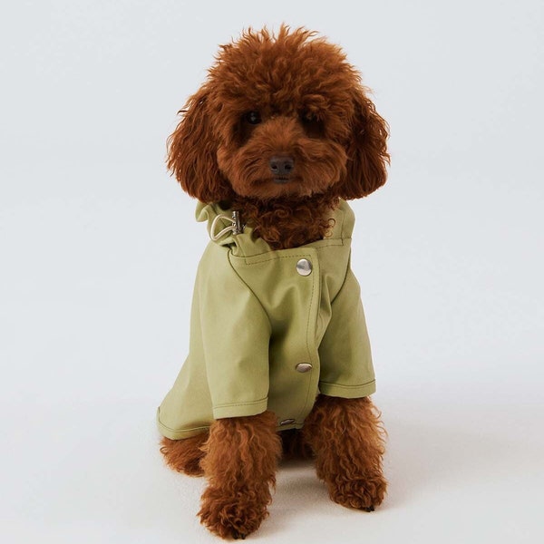 Imperméable à capuche pour chien - Résistant à l'eau - Vert pistache