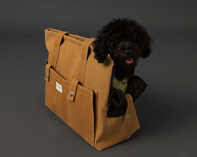 Daba doo dog carrier hotsell