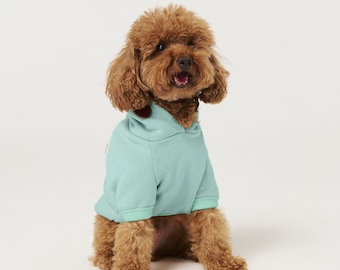 Dog Hoodie - Mint