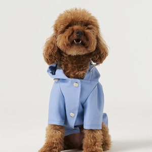 Dog Raincoat with Hood Water Resistant Light Blue image 2