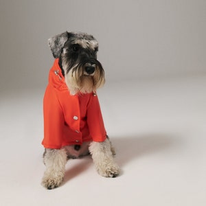 May include: A small, gray and black dog wearing a bright orange raincoat. The dog is sitting on a white background.