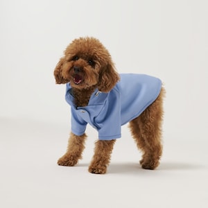 Dog Raincoat with Hood Water Resistant Light Blue image 1
