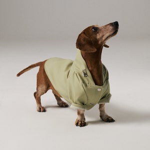 Dog Raincoat with Hood Water Resistant Pistacchio Green image 3