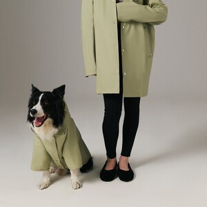 Matching dog and owner raincoats outlet