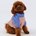 see more listings in the Dog Clothing section
