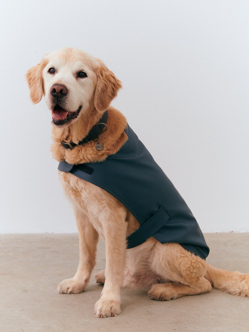 Dog & Human Matching Raincoat Matching Set for You and Your Etsy