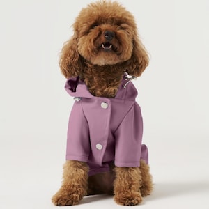 May include: A brown dog wearing a lavender hooded raincoat with silver button closures. The dog is sitting and looking at the camera. The raincoat has a tailored fit and a hood.