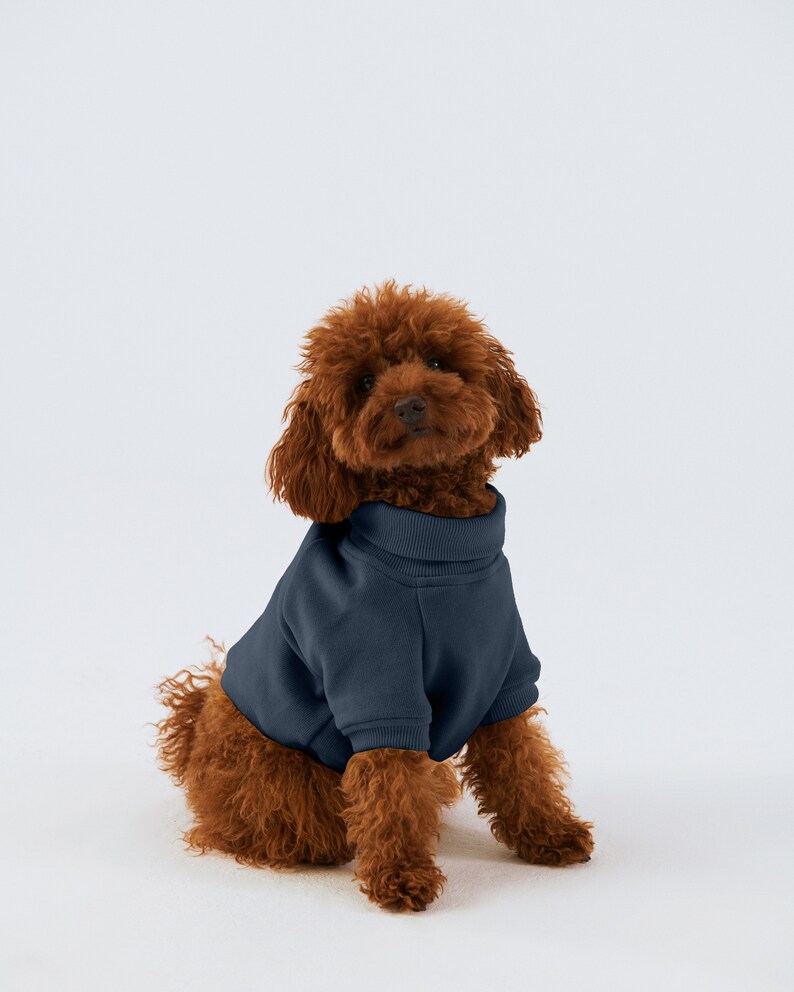 Sudadera de cuello alto para perros Algodón suave orgánico Azul imagen 4