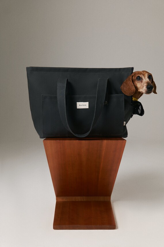 Dog tote bag carrier hot sale