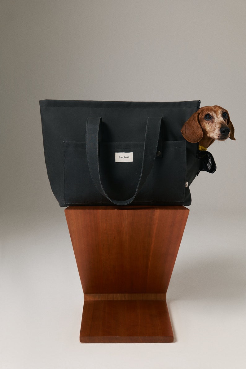 Handmade Dog travel bag, Dog carrier bag, Dog carrier purse, Dog carrier tote, Dog tote bag, Pet travel bag, Pet carrier bag, Pet carrier image 1
