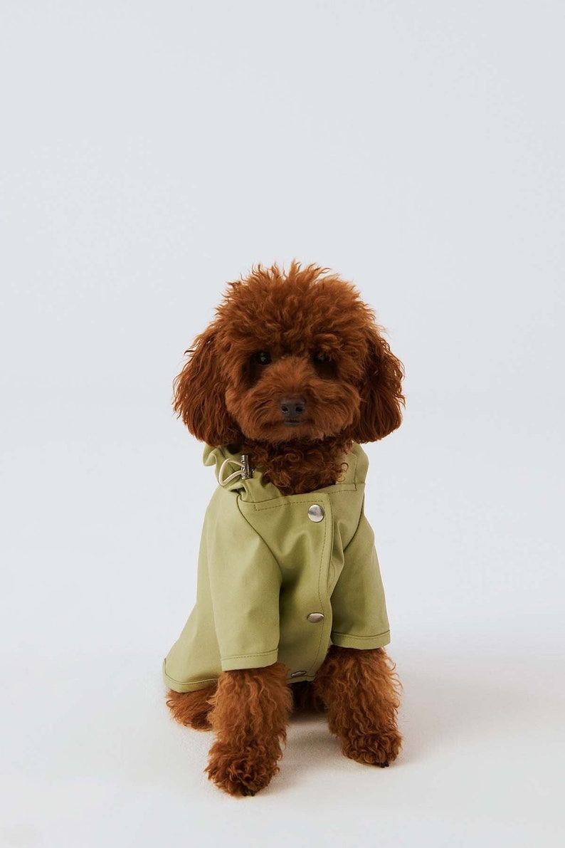 Dog Raincoat with Hood Water Resistant Pistacchio Green image 1