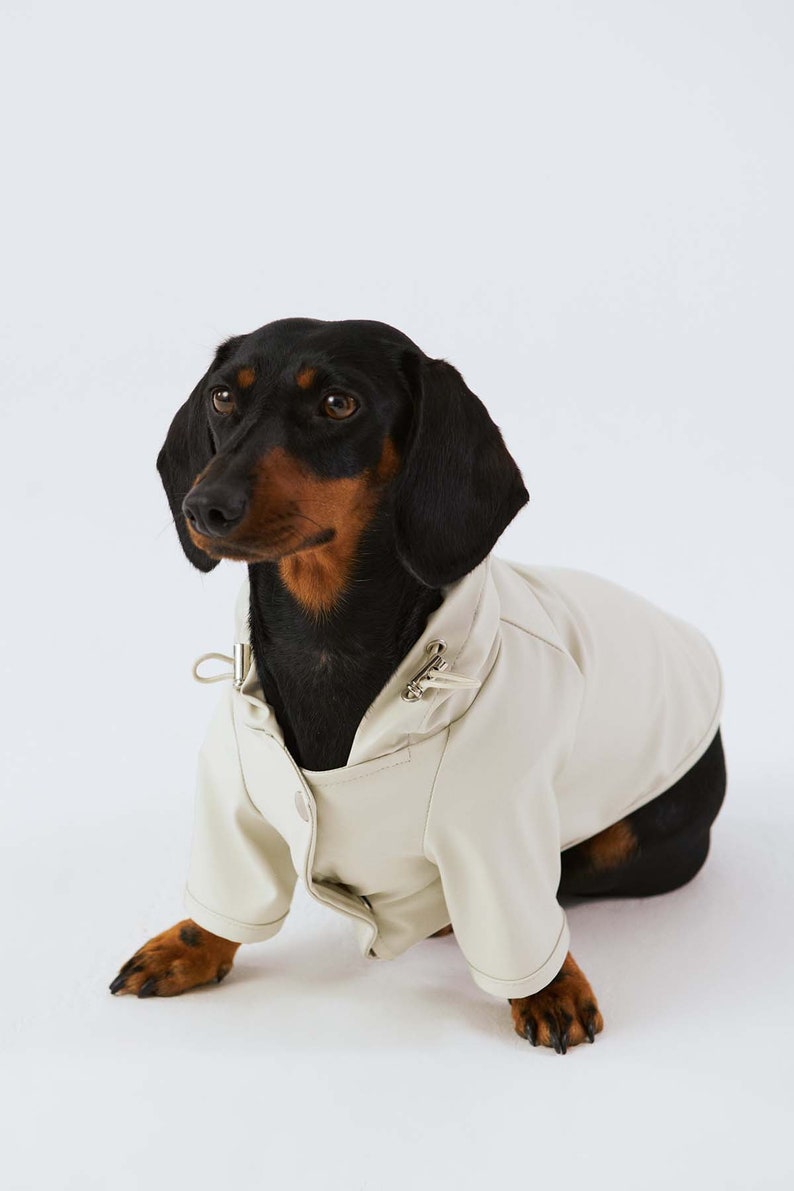 Dog & Human Matching Raincoat Matching Set for You and Your Etsy