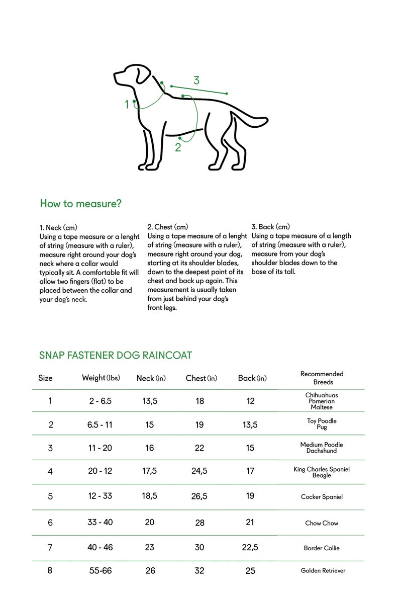 Dog & Human Matching Raincoat Matching Set for You and Your Etsy