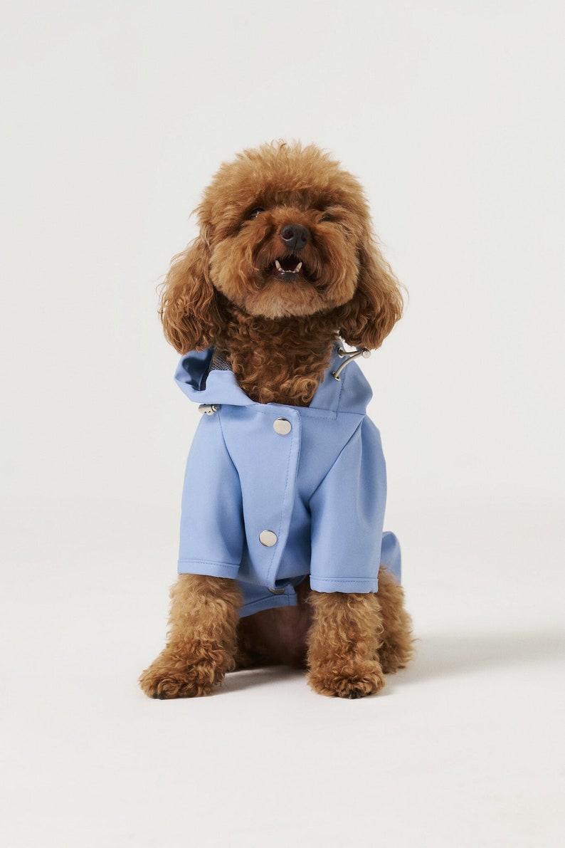 Dog Raincoat with Hood Water Resistant Light Blue image 2