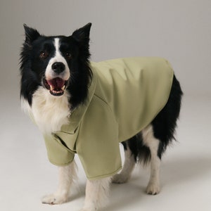 Dog Raincoat with Hood Water Resistant Pistacchio Green image 5