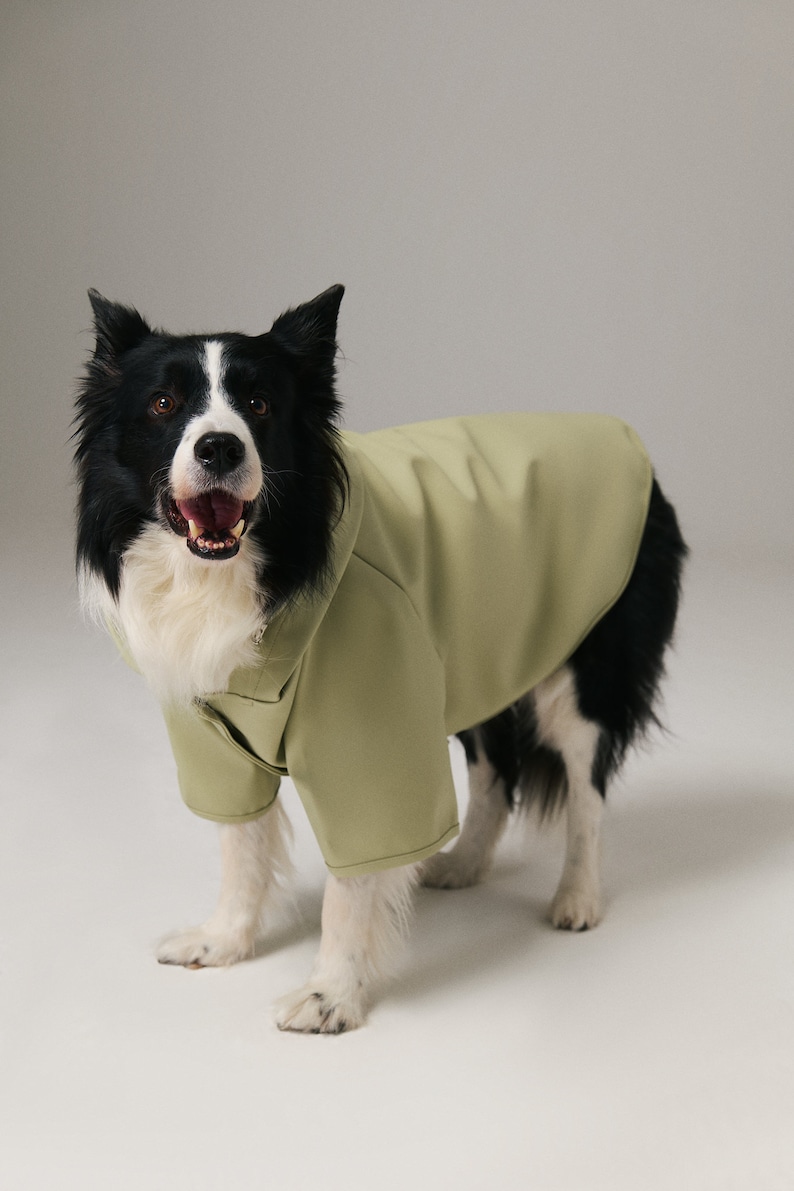 Dog Raincoat with Hood Water Resistant Pistacchio Green image 5