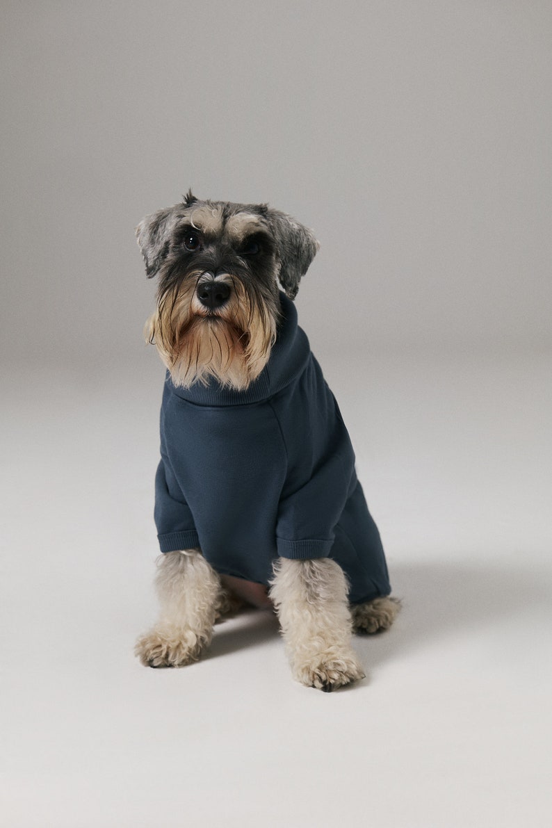 Sudadera de cuello alto para perros Algodón suave orgánico Azul imagen 2