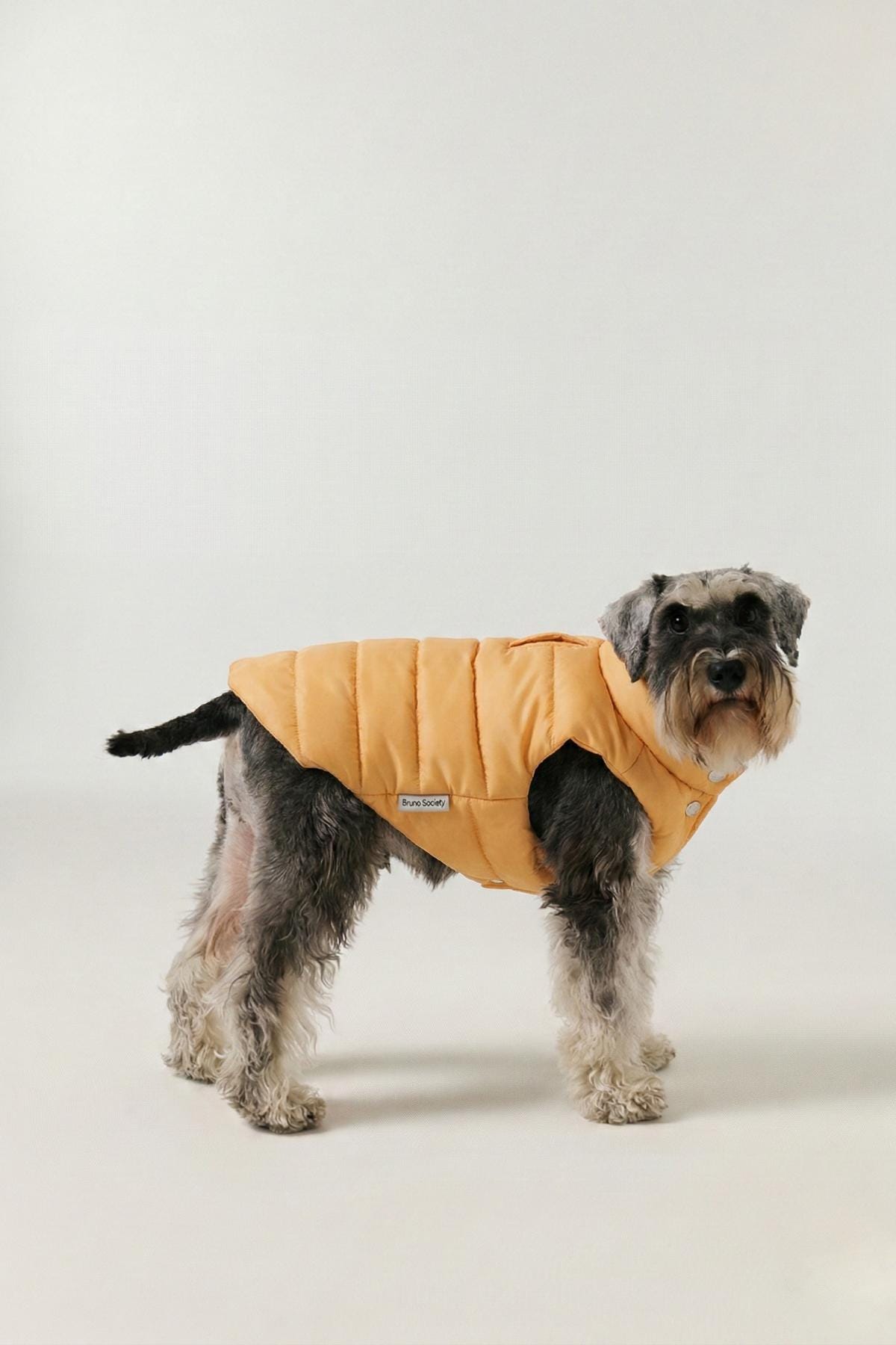 Honey Yellow Dog Puffer Vest, Winter Jacket, Warm Coat For Small Medium Large Dogs, Red Mom Gift
