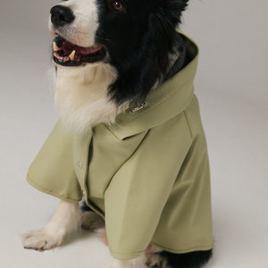 Dog Raincoat with Hood Water Resistant Pistacchio Green image 4