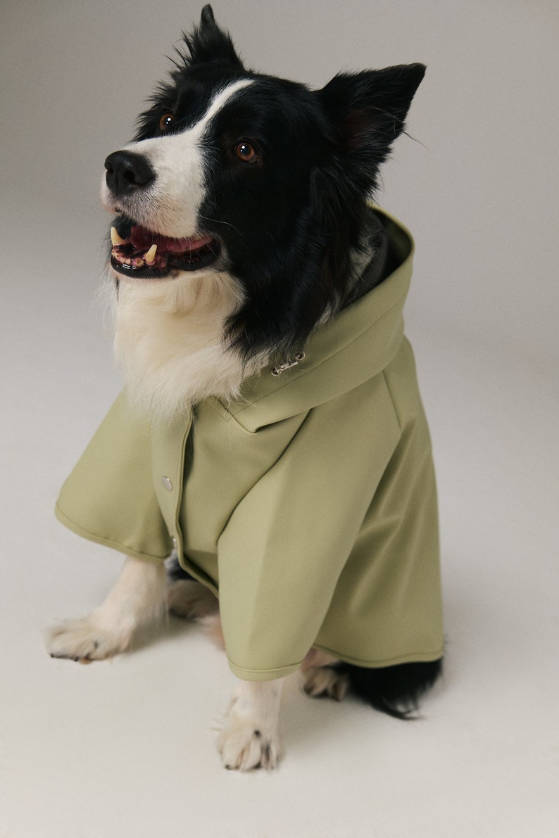 Dog Raincoat with Hood Water Resistant Pistacchio Green image 4