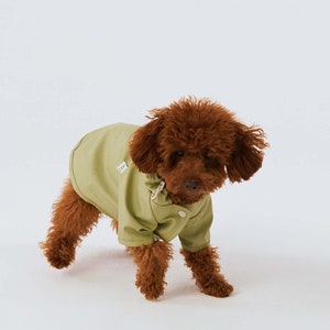 Dog Raincoat with Hood Water Resistant Pistacchio Green image 7