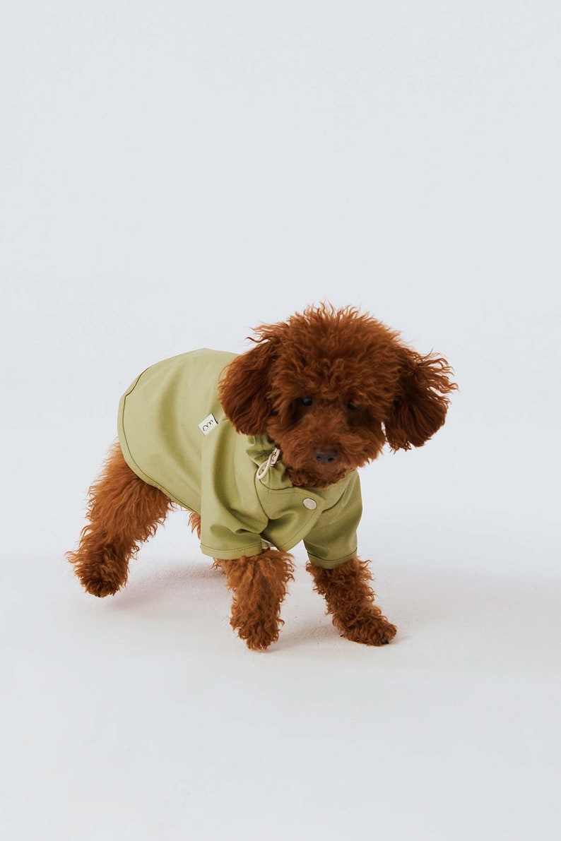 Dog Raincoat with Hood Water Resistant Pistacchio Green image 7