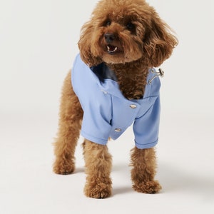 Dog Raincoat with Hood Water Resistant Light Blue image 3